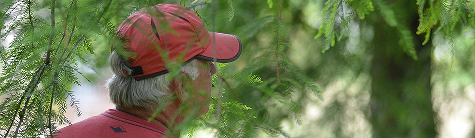 Disc Golf New Zealand